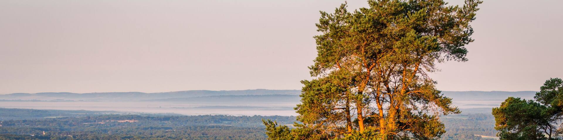 View south west from the top of Leith Hill on the Surrey Hills just after July sunrise south east England