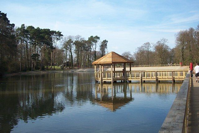 A wooden gazebo by a calm lake, surrounded by trees and a clear sky.