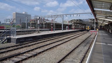 Plataforma de estação de trem com várias vias, linhas elétricas suspensas e um edifício moderno ao fundo.
