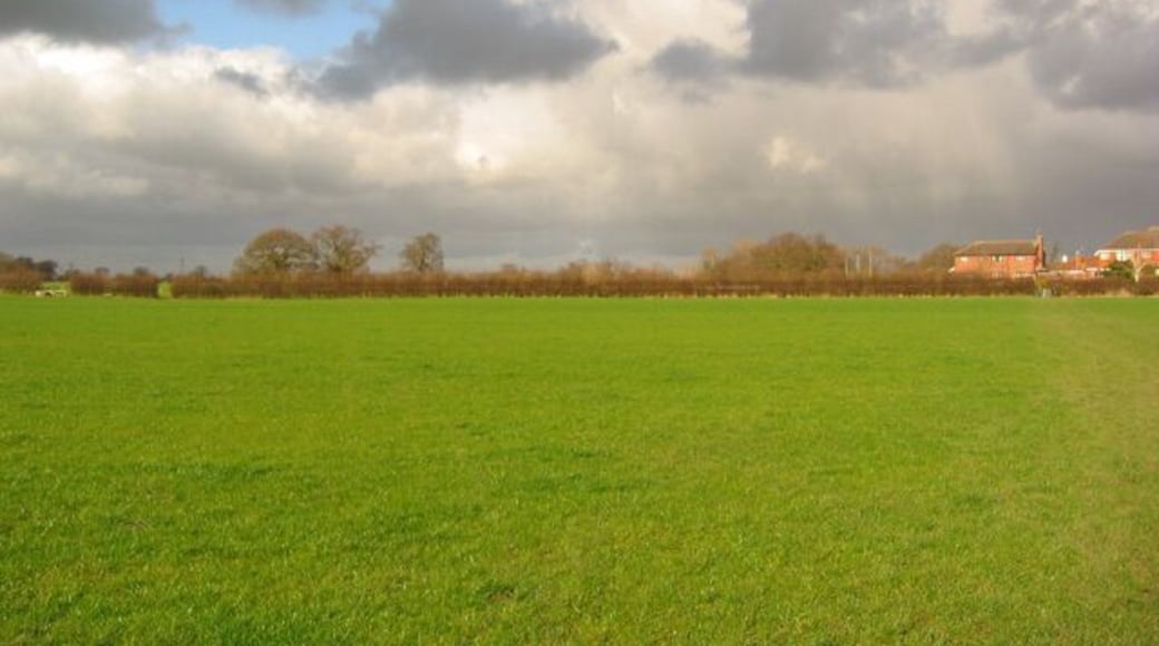 Storm clouds west of Wistaston Flat pasture to the west of Wistaston, with mature trees in the field boundaries. The housing estate (right) is part of the Marys Gate estate which straddles this gridsquare and SJ6853 (see 350704). View north east from the path between Wistaston School and Colleys Lane, near Church House Farm