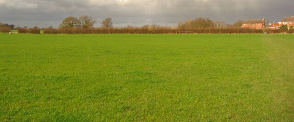 A green field with a cloudy sky and houses in the background.