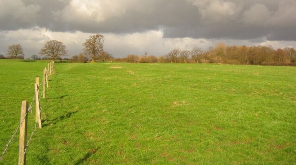Pasture west of Wistaston Flat pasture with mature trees in the field boundaries to the west of the village of Wistaston. View north from the footpath between Wistaston School and Red Hall, on a squally March afternoon