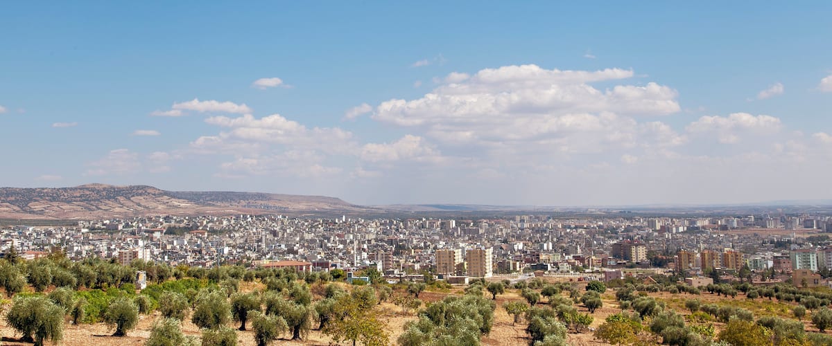 A cityscape with dense urban buildings, olive groves, and distant mountains under a clear sky.