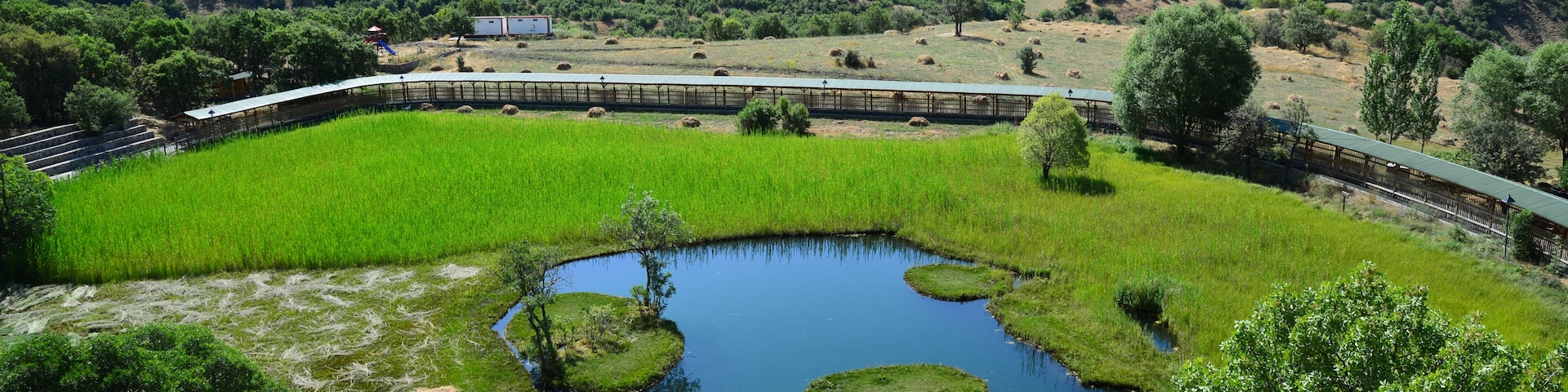 Un paisaje exuberante y verde con un estanque rodeado de césped y árboles, un puente y colinas al fondo.