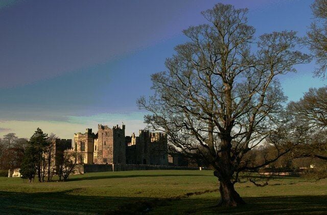 A castle with a large tree in the foreground.