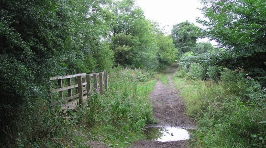 Patches Lane : Ford. Patches lane is a Bridleway and once busy pack horse route, from the north of Darlington crossing Coatham Lane, and on to Blytheman Lane.