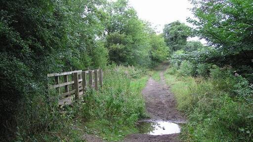 Patches Lane : Ford. Patches lane is a Bridleway and once busy pack horse route, from the north of Darlington crossing Coatham Lane, and on to Blytheman Lane.