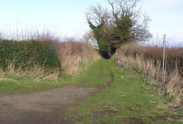 Hob Gate — Bridleway, Near Langton.