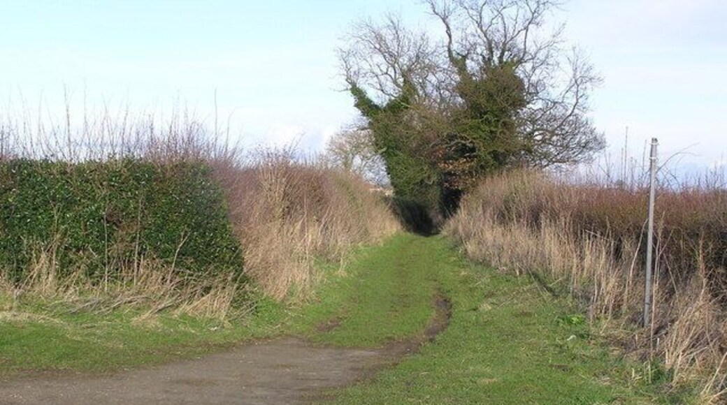 Hob Gate — Bridleway, Near Langton.