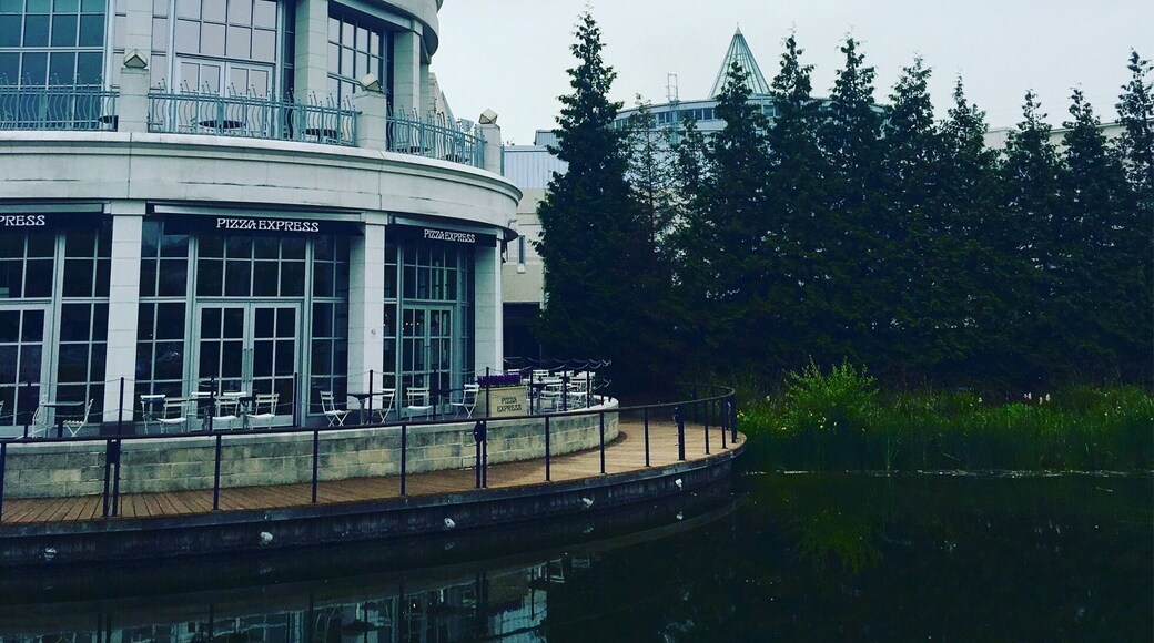 Lake reflection 🌲