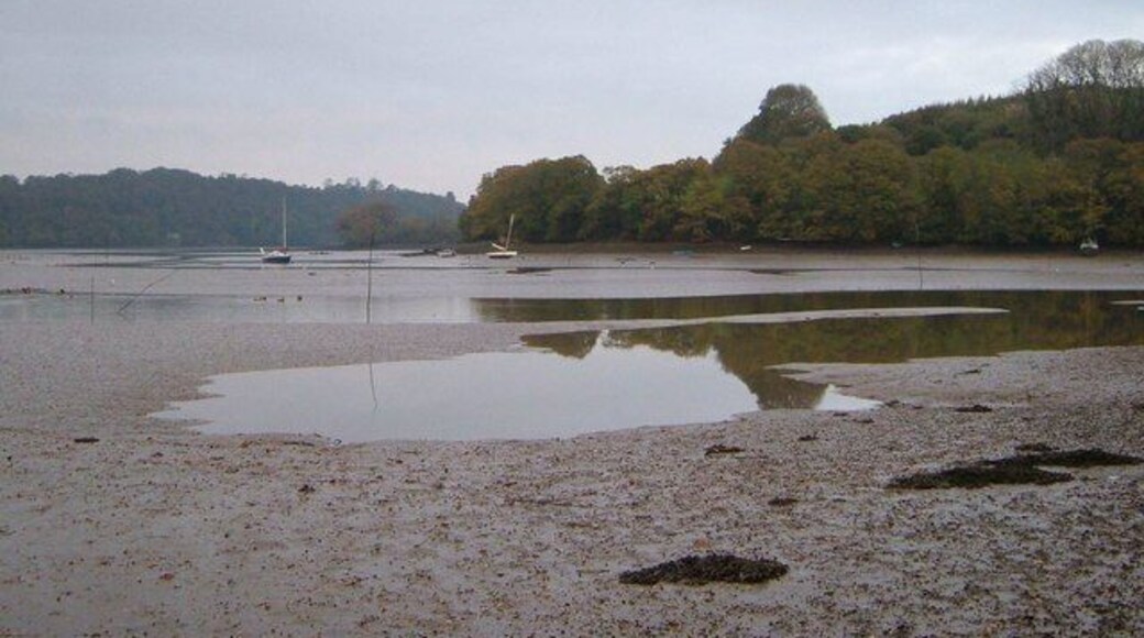 Dittisham Mill Creek A view across the incoming tide to Higher Gurrow Point on the River Dart.