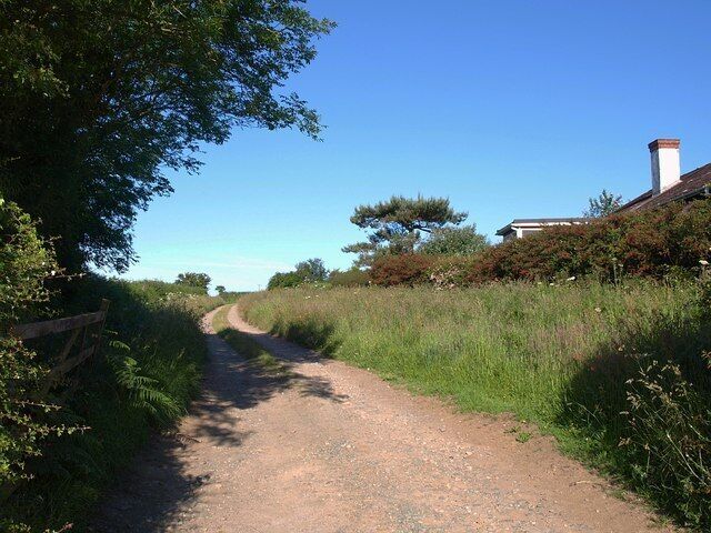 Track, Strete. As in 1359782, a gap between houses on Hynetown Road leads into farmland. The track through this grassy area is to some farm buildings.