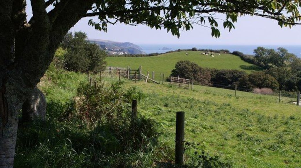 South West Coast Path near Strete. Having left the A379 as shown in 535225, the new path offers a glimpse of the coast ahead as it makes it way along the edge of a field beside the main road.