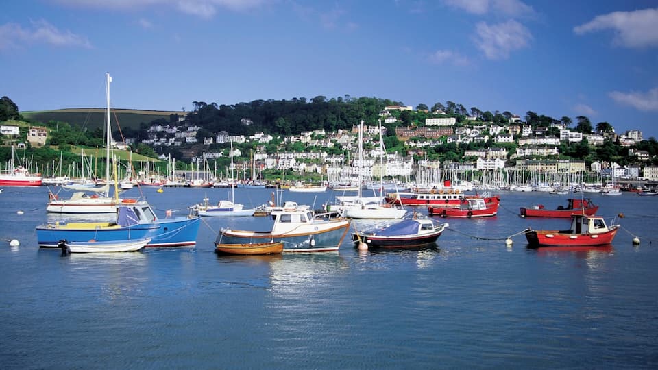 A harbor with various boats docked, a hill with houses in the background, and a clear blue sky.