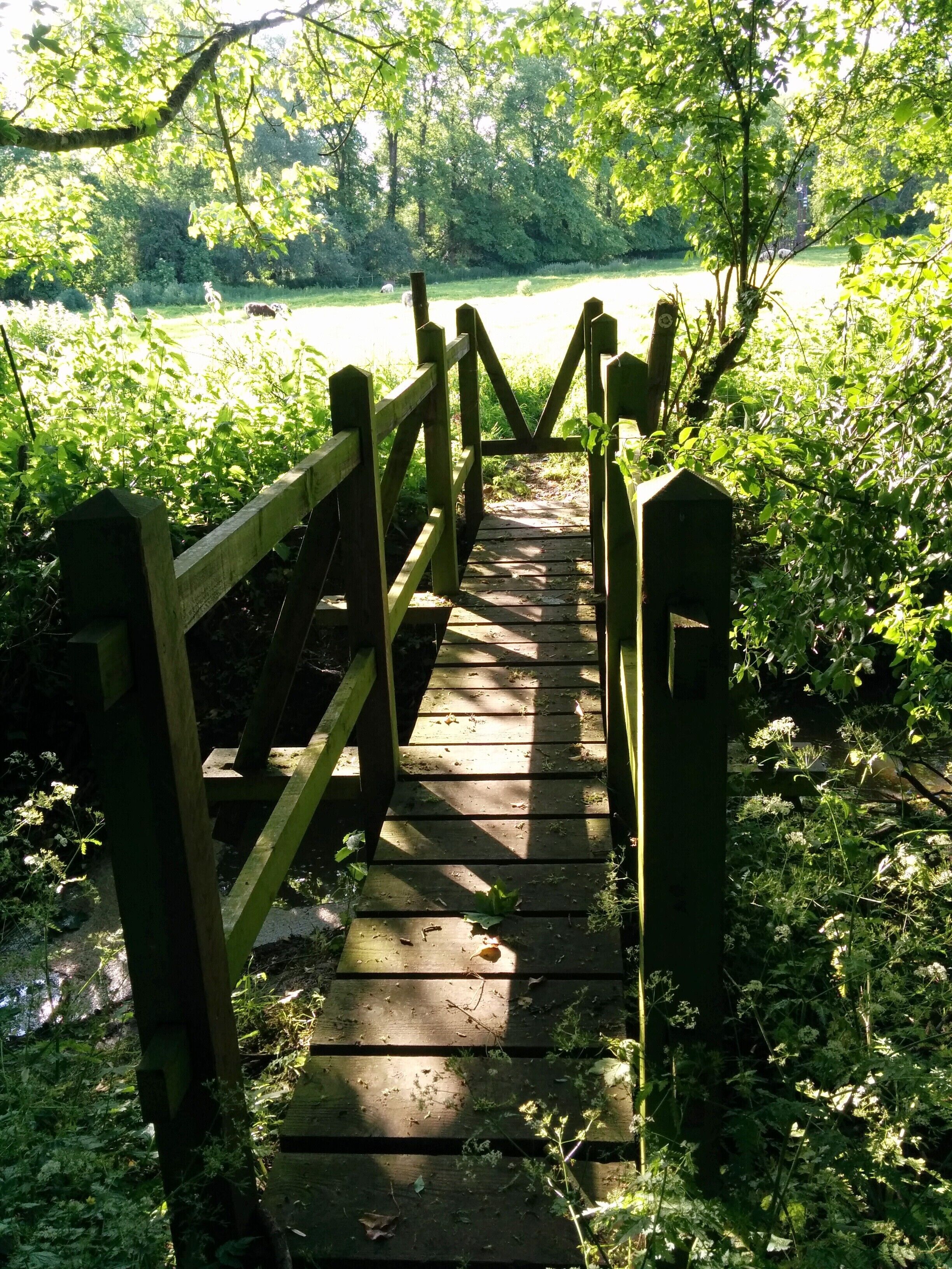 Charwelton JW foot bridge 1