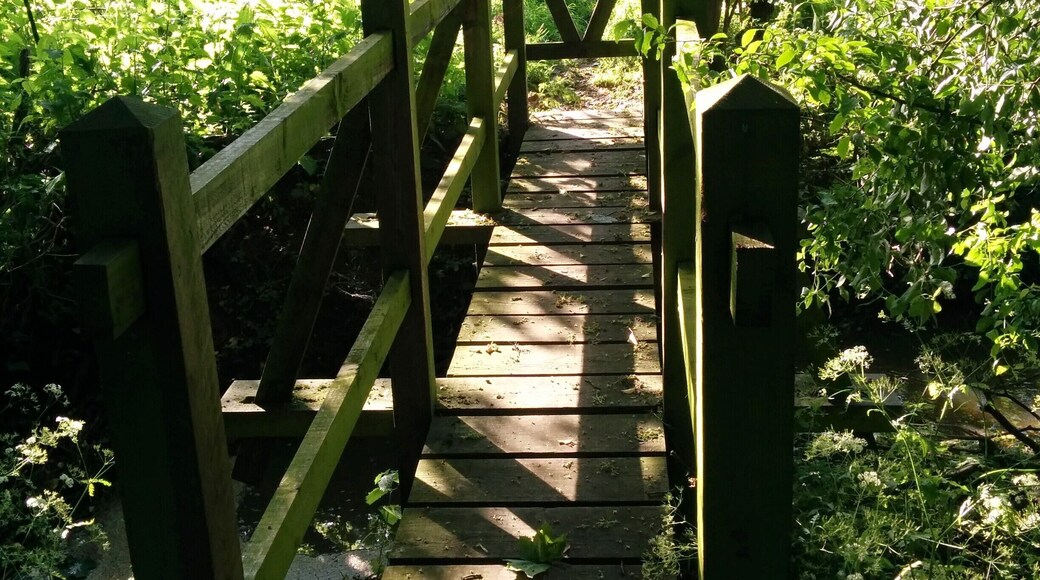 Charwelton JW foot bridge 1