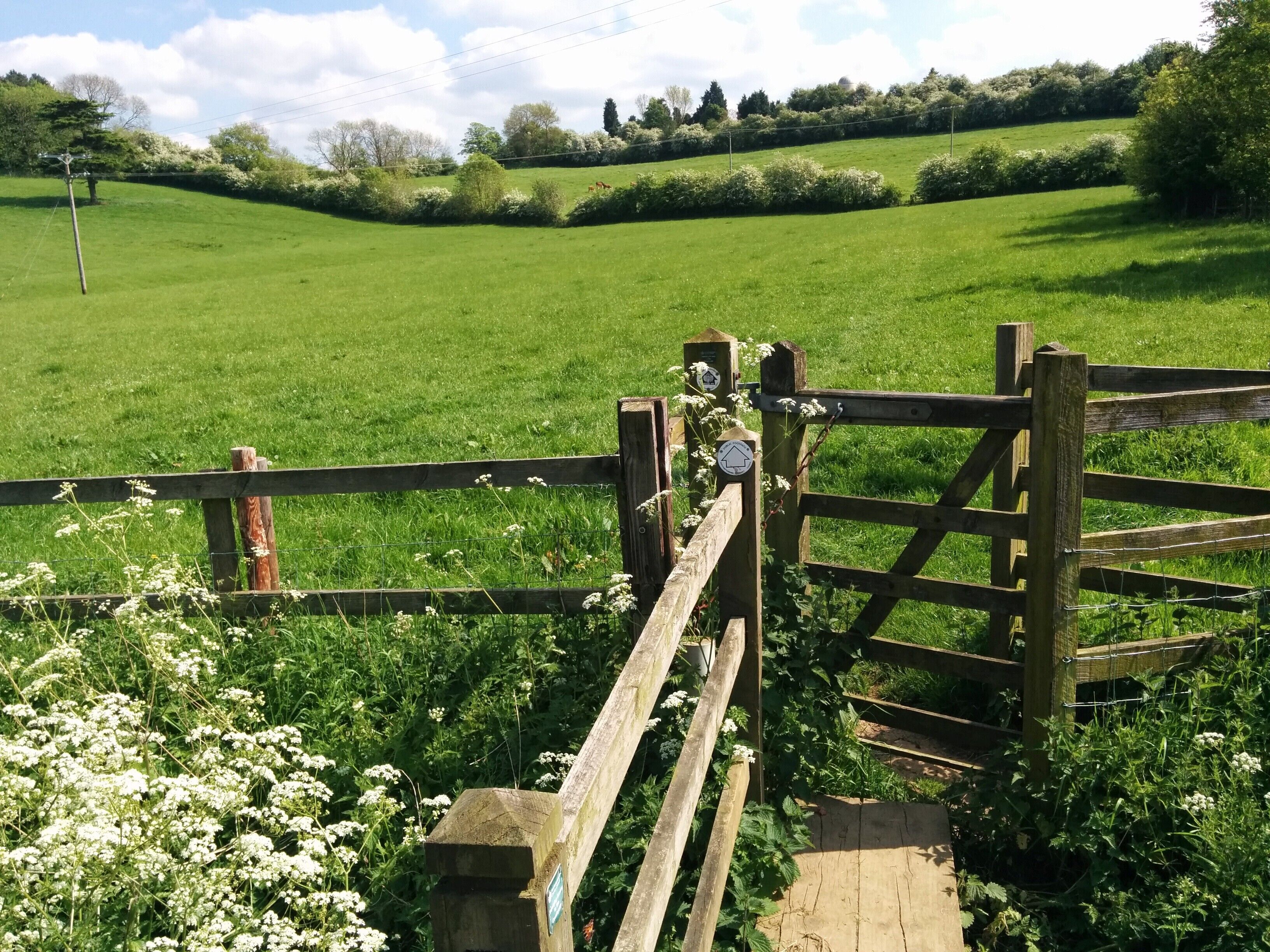 Helidon to Charwelton 26