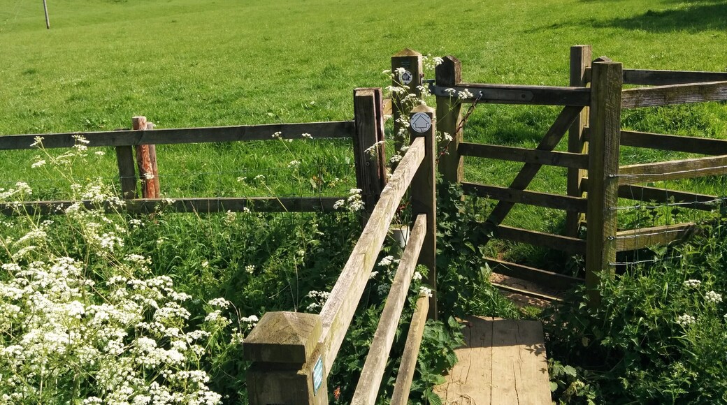 Helidon to Charwelton 26