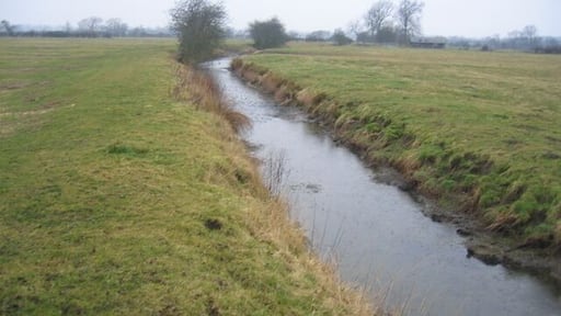 Oxford Canal Feeder. Looking NW along the feeder near Lower Boddington. This channel carries water from 145062 & 143058 to the Oxford Canal at 32090.