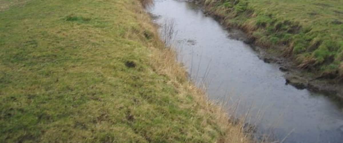A narrow water channel in a grassy field with trees in the background.