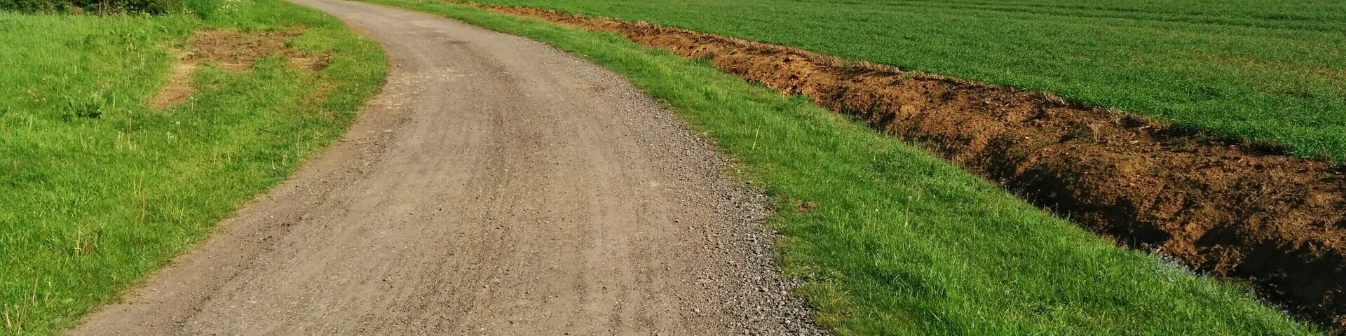 Uma estrada de terra sinuosa serpenteia por campos verdes, com árvores e colinas ao fundo.