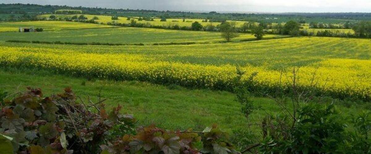 The view north from the Staverton to Lower Shuckburgh road