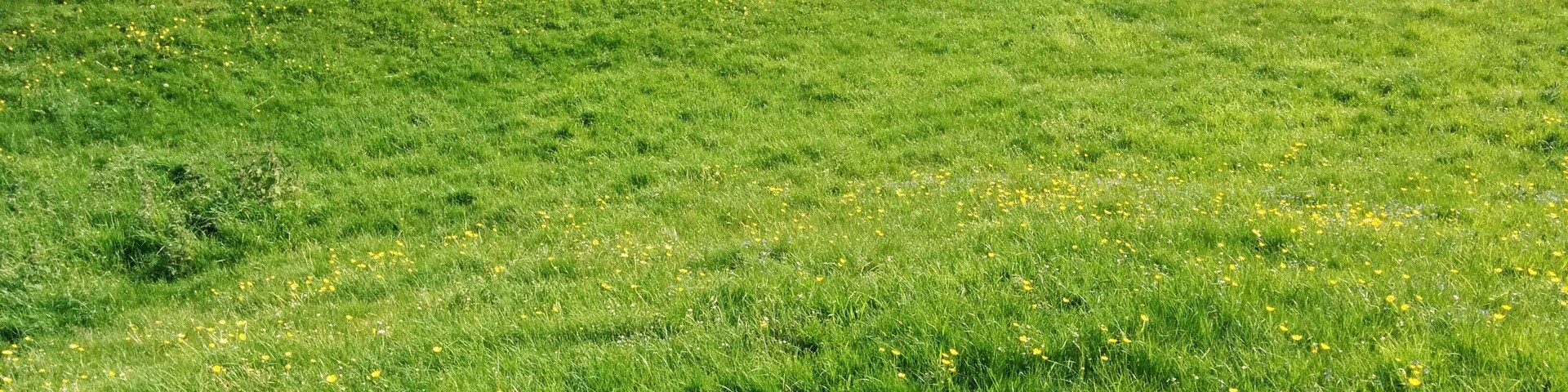 Helidon to Charwelton 18