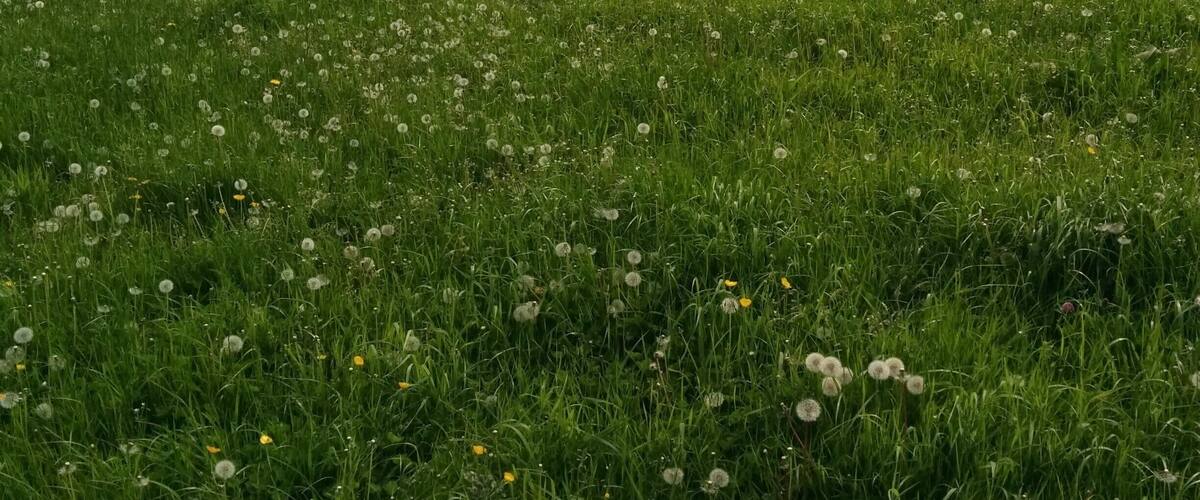 Helidon to Charwelton 24