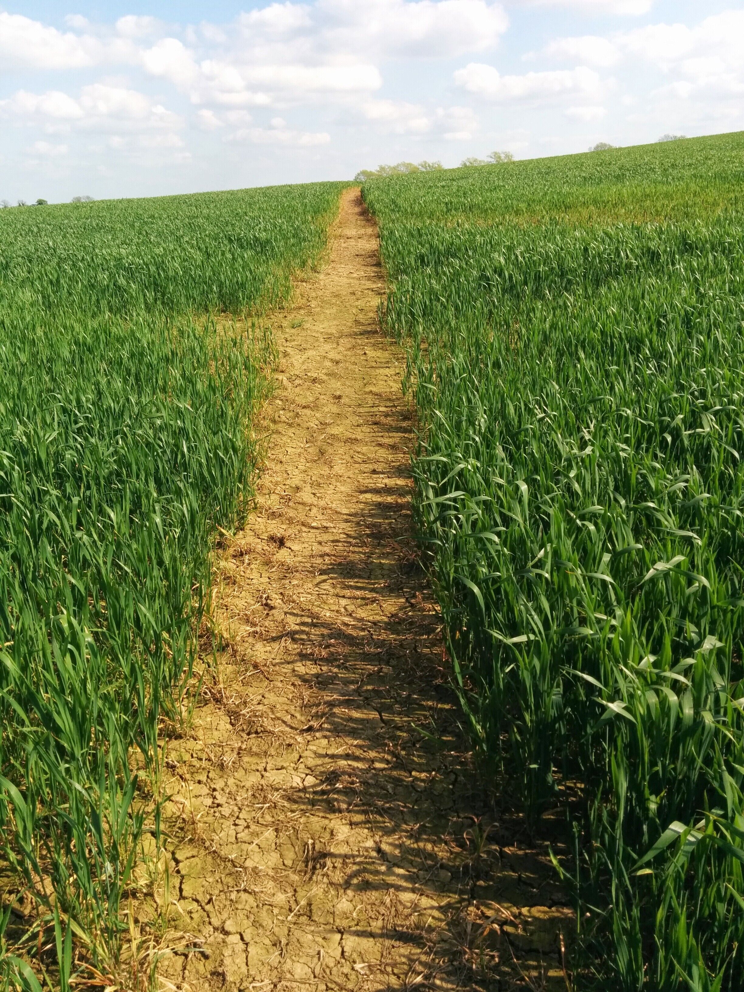 Helidon to Charwelton 21