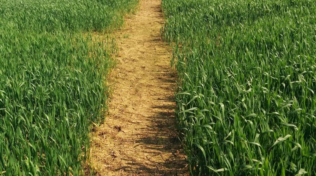 Helidon to Charwelton 21