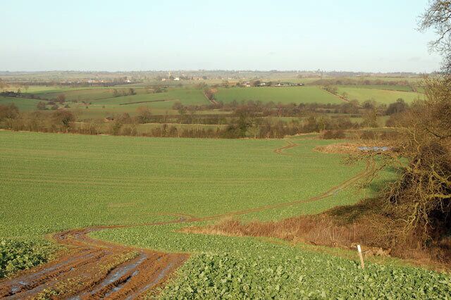 Farm track down hill north of Staverton