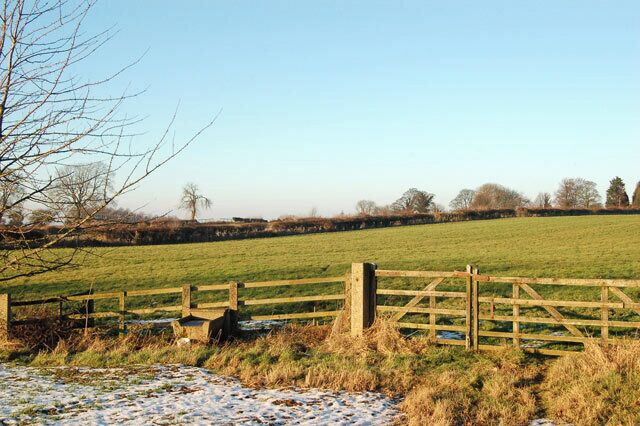 Farmland south of Staverton
