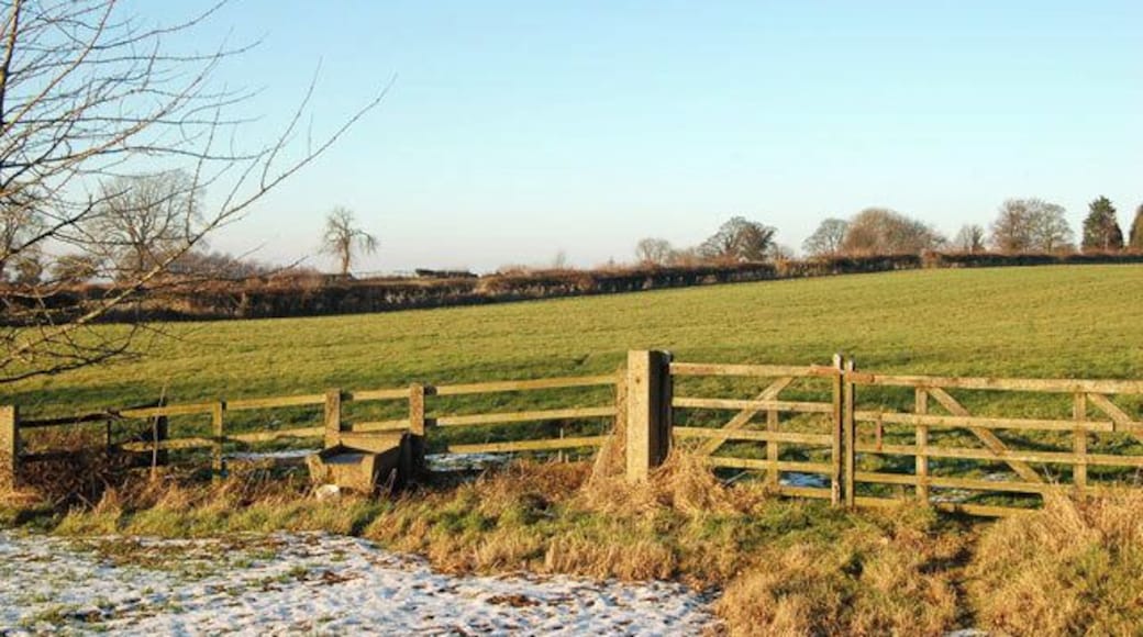 Farmland south of Staverton