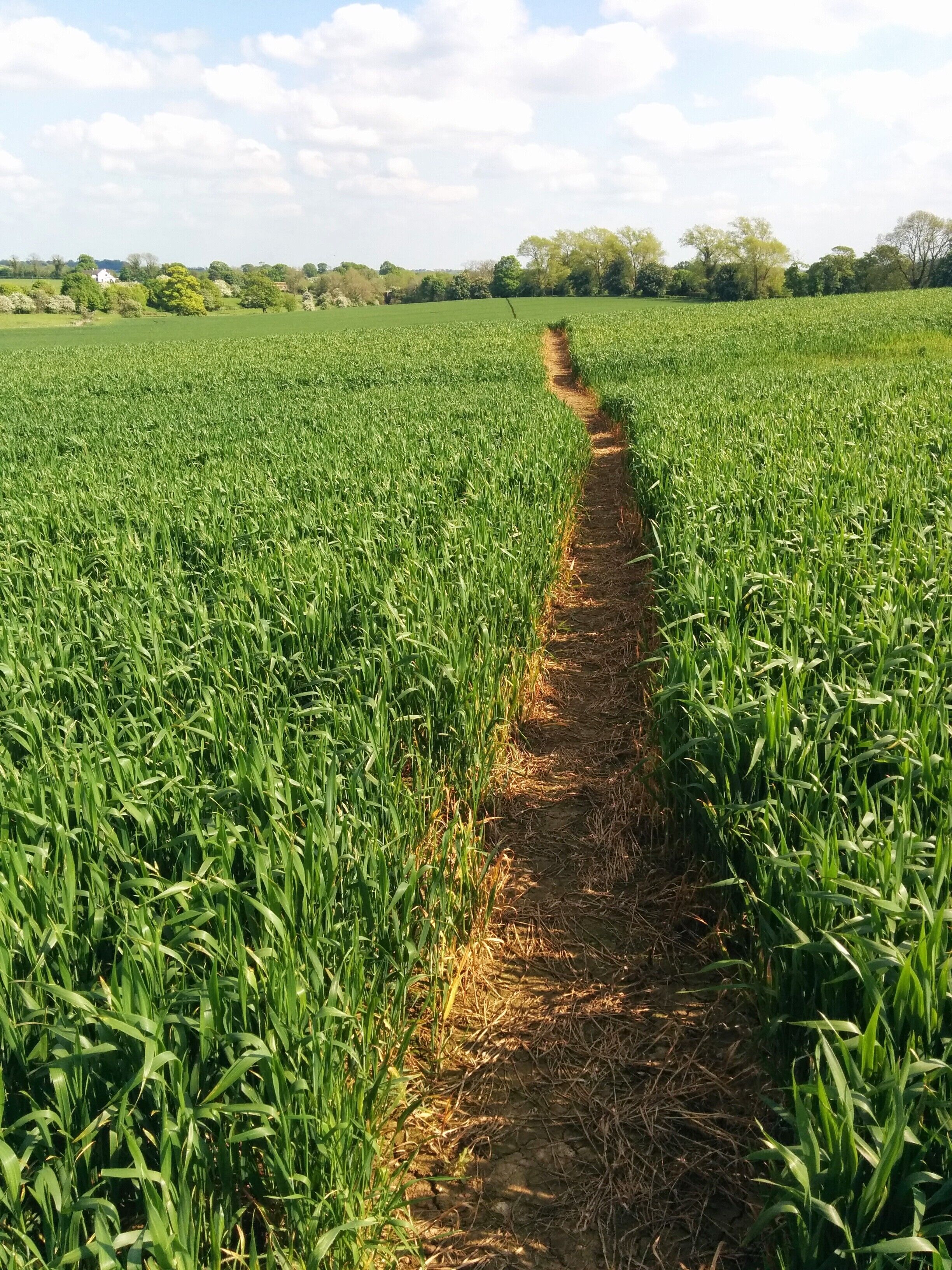 Helidon to Charwelton 20