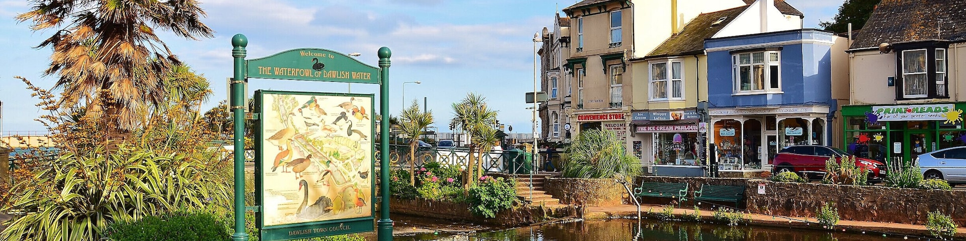 Dawlish have a nice lake and garden to visit ideal for a relaxing holiday. some of the wildlife include Black swans.