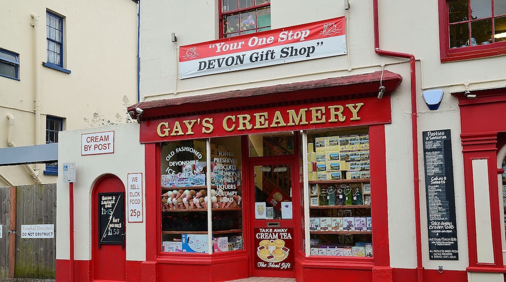 Can't comment on the ice-cream has i never went it just had to take the photograph has im sure the name of this shop has lifted a few eyebrows. :)