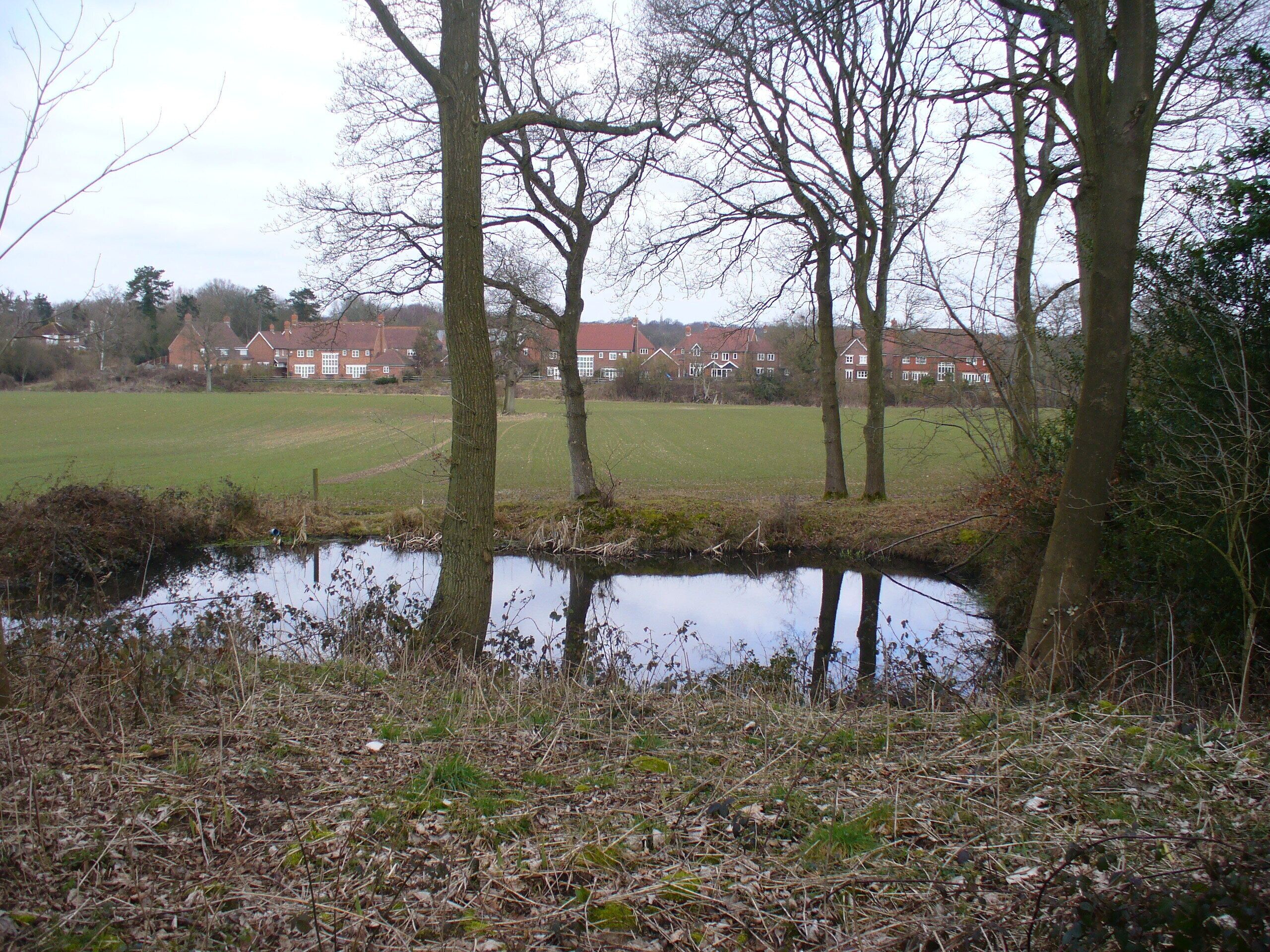 Pond near Hatchetts. East of Newdigate, looking across a field to a modern housing development which has some homes designed to look like old Wealden hall houses.