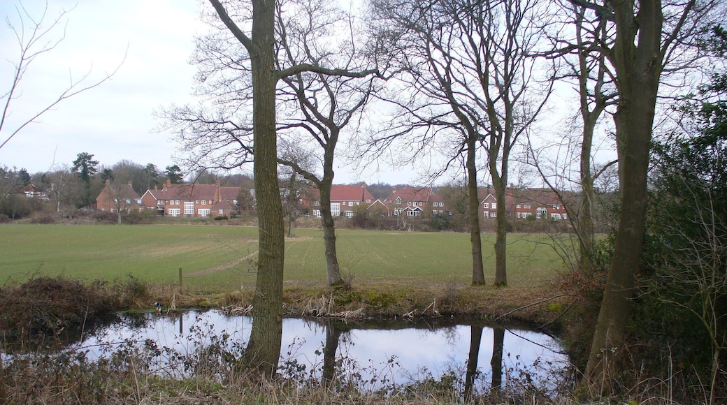 Pond near Hatchetts. East of Newdigate, looking across a field to a modern housing development which has some homes designed to look like old Wealden hall houses.