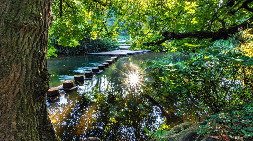 A mid September morning, 8.30ish put the Sun in the right position for this short. A great area to explore with the view from the top of the hill and great spots along the river which runs along the base.