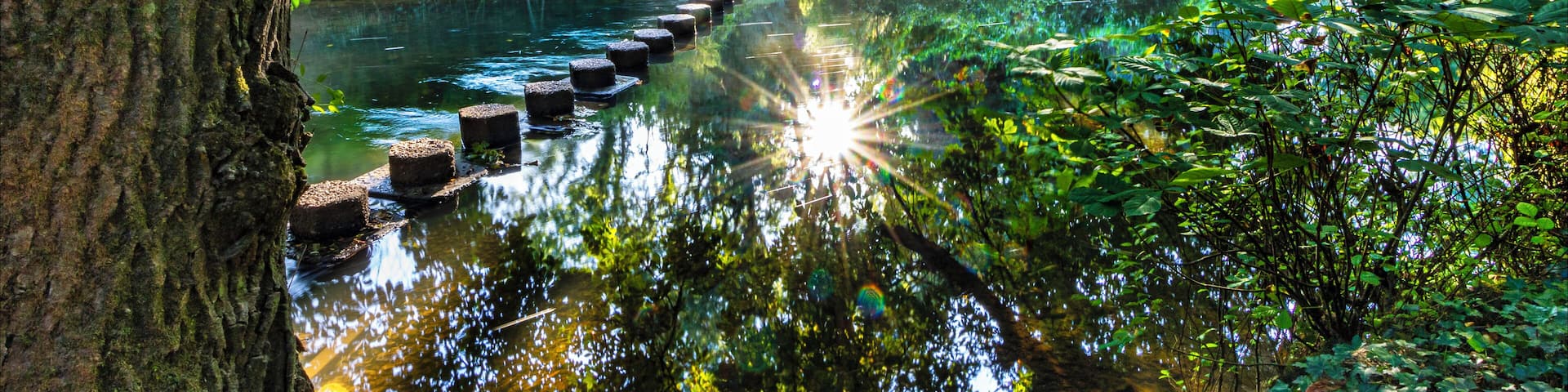 A mid September morning, 8.30ish put the Sun in the right position for this short. A great area to explore with the view from the top of the hill and great spots along the river which runs along the base.