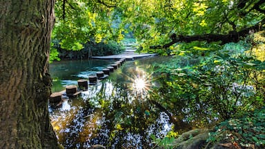 A mid September morning, 8.30ish put the Sun in the right position for this short. A great area to explore with the view from the top of the hill and great spots along the river which runs along the base.