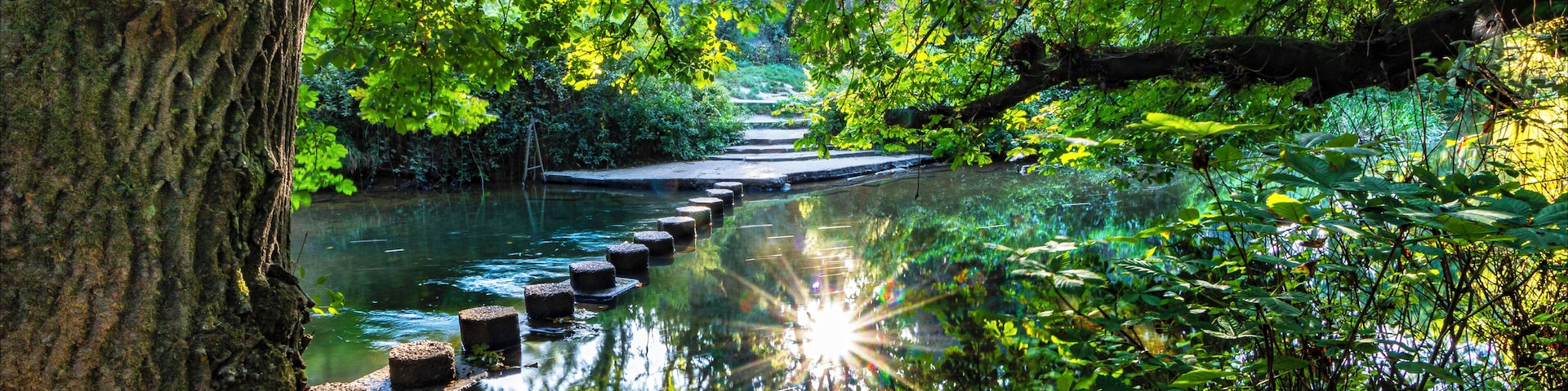 A serene river with stepping stones, surrounded by lush green foliage and trees.