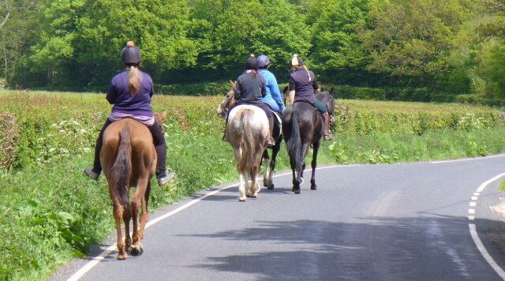 On the Horsham Road A popular pastime is hacking in the countryside around Wealden Mayes Green.