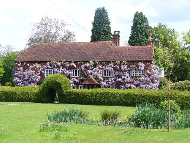 Spring in Mayes Green Spectacular show of blooming wisteria on a Horsham Road home in this Wealden hamlet.