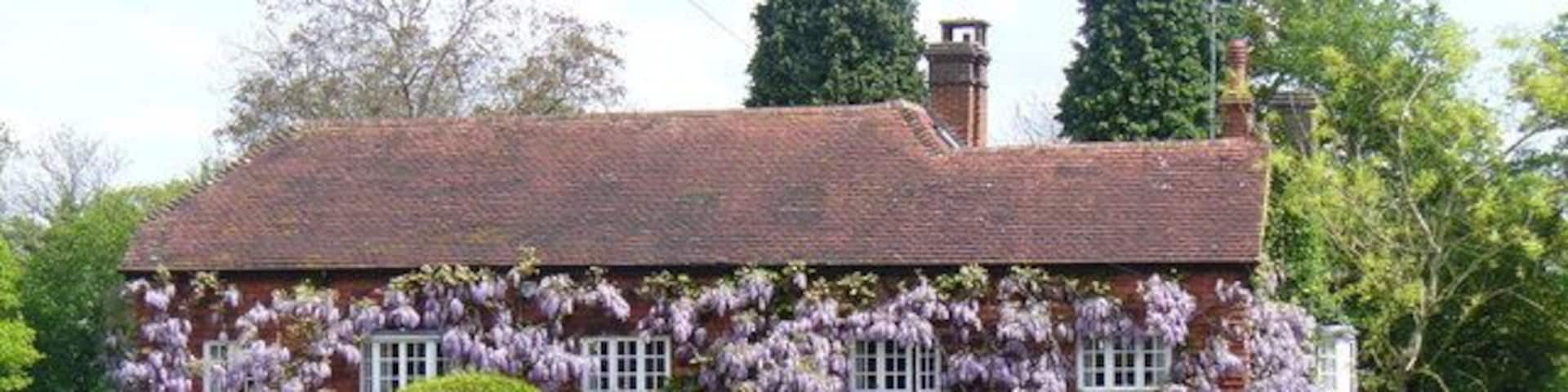 Spring in Mayes Green Spectacular show of blooming wisteria on a Horsham Road home in this Wealden hamlet.