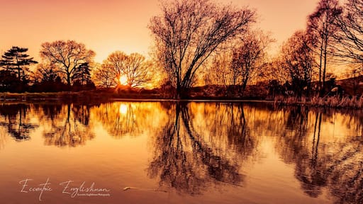 Just one of the many village ponds scattered about this part of Surrey. #reflections #colour