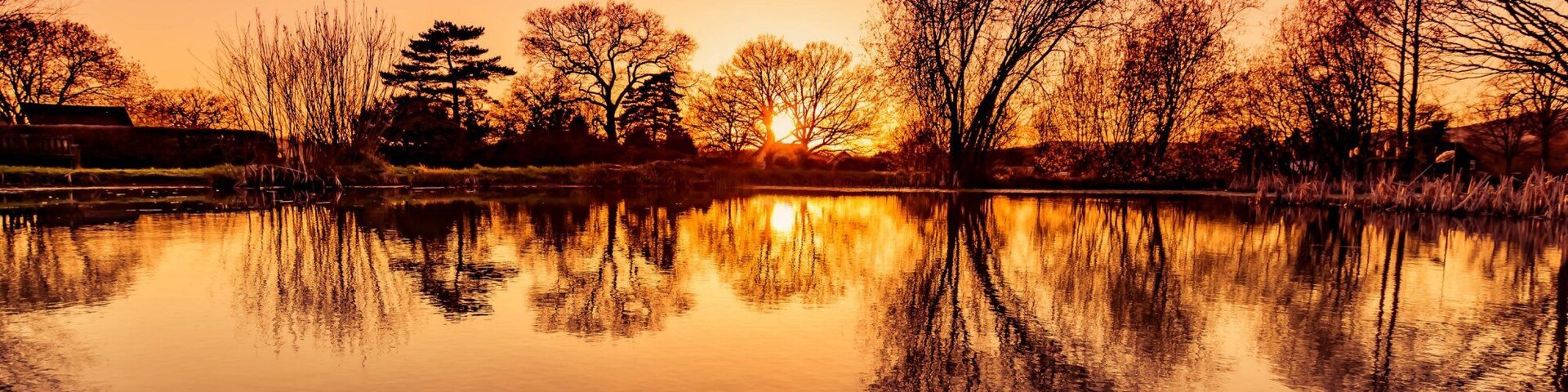 Just one of the many village ponds scattered about this part of Surrey. #reflections #colour