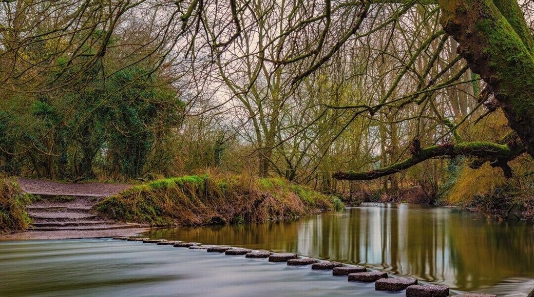 The Stepping Stones at Box Hill crossing the River Mole.
Long Exposure shot
Canon 100D
Sigma 18-35