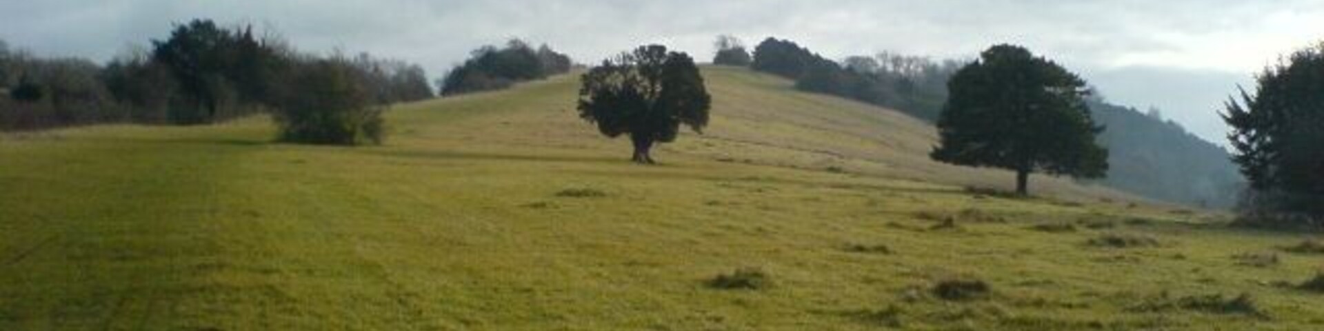 Box Hill, looking north east. This was taken from the bottom of Box Hill, looking north east.
