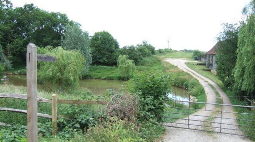 Pond at Elmers Farm.